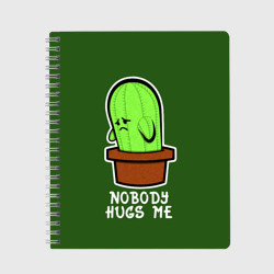 Тетрадь Nobody Hugs Me