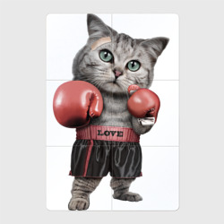 Кот боксёр – Магнитный плакат 2Х3 с принтом купить