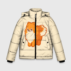 Зимняя куртка для мальчиков 3D Шпиц