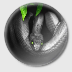 Значок Змея