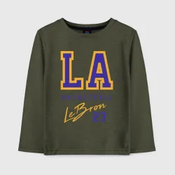 Детский лонгслив хлопок Lebron Basketball