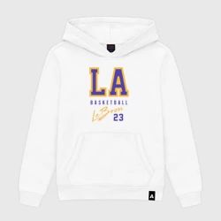 Женская толстовка хлопок Lebron Basketball