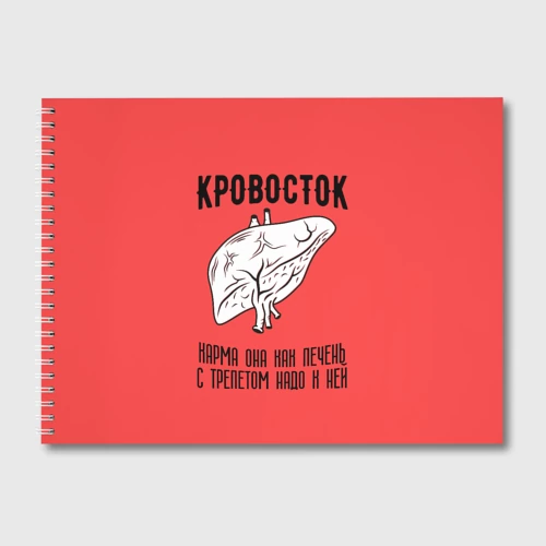 Альбом для рисования Кровосток - карма