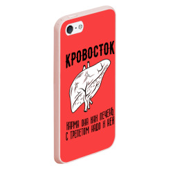 Чехол для iPhone 5/5S матовый Кровосток - карма - фото 2