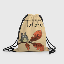 Рюкзак-мешок 3D Tonari no Totoro