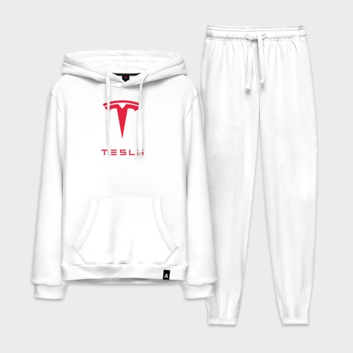 Мужской костюм хлопок с толстовкой Tesla Тесла