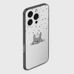 Чехол для iPhone 16 Pro силиконовый с защитой камеры Totoro The Rain - фото 2