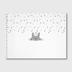 Альбом для рисования Totoro The Rain