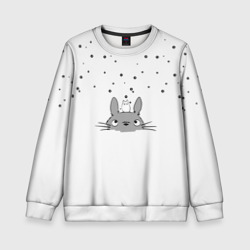 Детский свитшот 3D Totoro The Rain