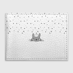 Обложка для студенческого билета Totoro The Rain