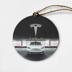 Деревянная игрушка круг Tesla