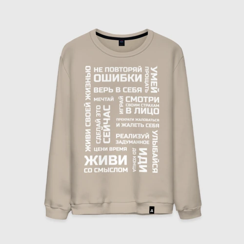 Мужской свитшот хлопок Мотивация