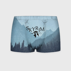 Мужские трусы 3D TES skyrim