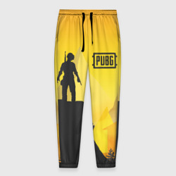 Мужские брюки 3D PUBG