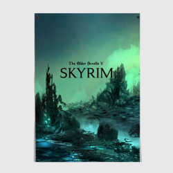 Постер Skyrim