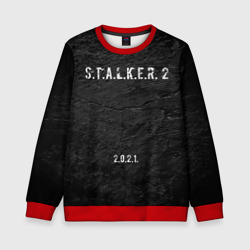 Детский свитшот 3D Stalker 2