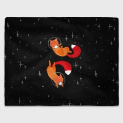 Лисички в Космосе