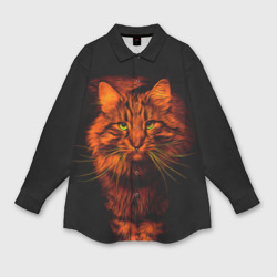 Мужская рубашка oversize 3D Рыжий кот