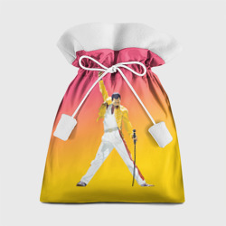 Подарочный 3D мешок Queen: Фредди Меркьюри
