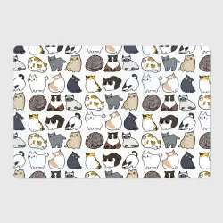 Магнитный плакат 3Х2 Котики