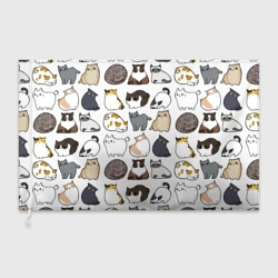 Флаг 3D Котики