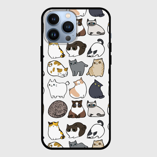Котик С Айфоном 13