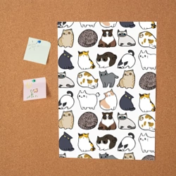 Постер Котики - фото 2