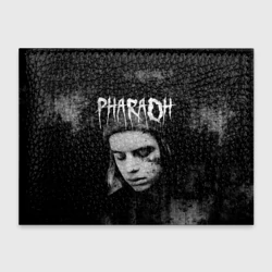 Обложка для студенческого билета Pharaoh