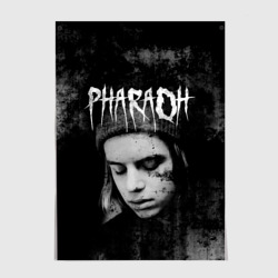 Постер Pharaoh