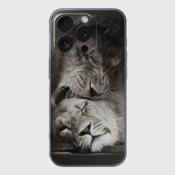 Чехол для iPhone 16 Pro Max силиконовый с защитой камеры Лев и львица