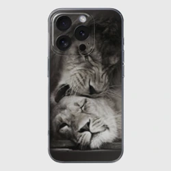 Чехол для iPhone 16 Pro силиконовый с защитой камеры Лев и львица