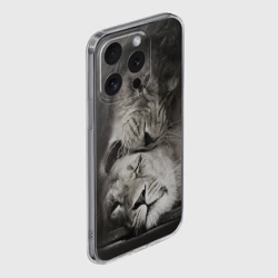Чехол для iPhone 15 Pro силиконовый с защитой камеры Лев и львица - фото 2