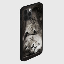 Чехол для iPhone 12 Pro Лев и львица - фото 2