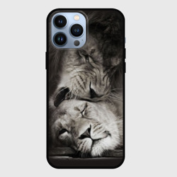 Чехол для iPhone 13 Pro Max Лев и львица