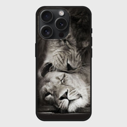 Чехол силиконовый для Apple iPhone 15 Pro матовый Лев и львица