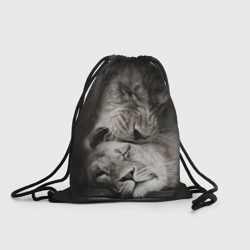 Рюкзак-мешок 3D Лев и львица