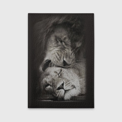 Обложка для автодокументов Лев и львица