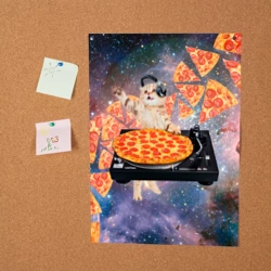 Постер Кот Диджей - фото 2