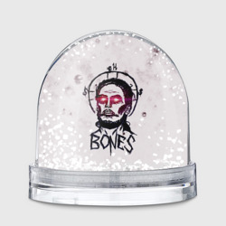 Игрушка Снежный шар Bones Sesh Team