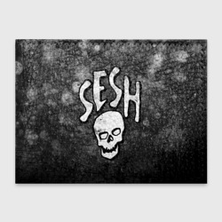 Обложка для студенческого билета Sesh Team Bones