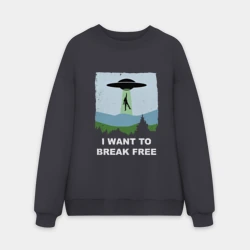 Мужской свитшот oversize без начеса хлопок Queen