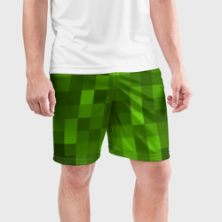 Мужские шорты спортивные Minecraft - фото 2