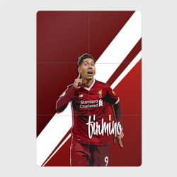 Магнитный плакат 2Х3 Roberto Firmino