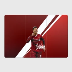 Магнитный плакат 3Х2 Roberto Firmino