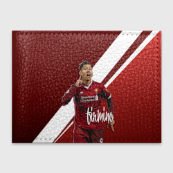 Обложка для студенческого билета Roberto Firmino