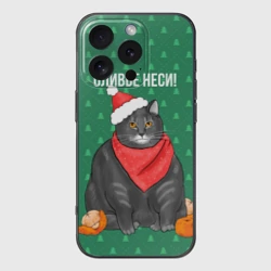 Чехол для iPhone 16 Pro силиконовый с защитой камеры Кот хочет кушот