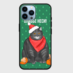 Чехол для iPhone 14 Pro Max Кот хочет кушот