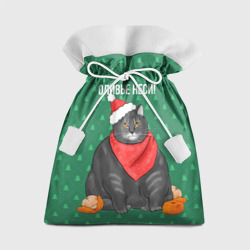 Подарочный 3D мешок Кот хочет кушот