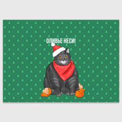 Кот хочет кушот – Поздравительная открытка с принтом купить