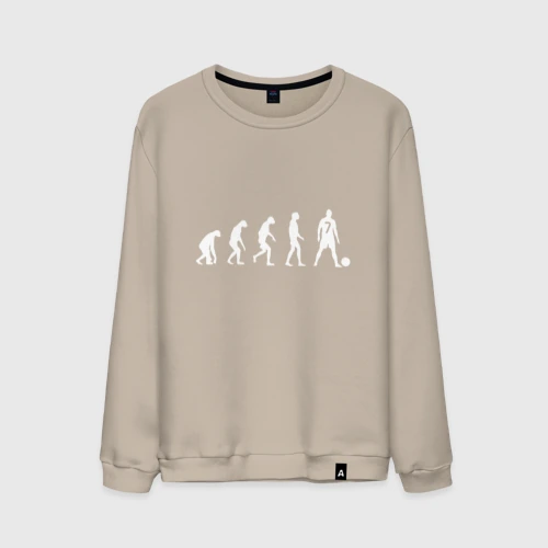Мужской свитшот хлопок Ronaldo Evolution